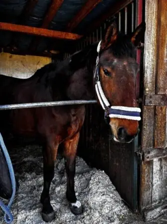 483977213_3068794796606902_3840868903138514659_n