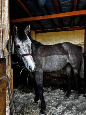 484442006_960367822750312_1413100057016830404_n