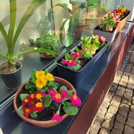 485725676_635040259238966_4522937248103305590_n