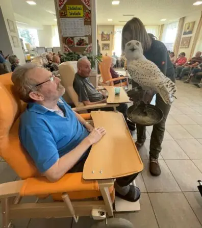 486487738_637191292357196_8921325347532113350_n