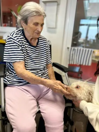 Obrázek WhatsApp, 2025-02-24 v 07.28.07_9c018848