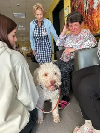 Obrázek WhatsApp, 2025-02-24 v 07.28.07_b17b76c6