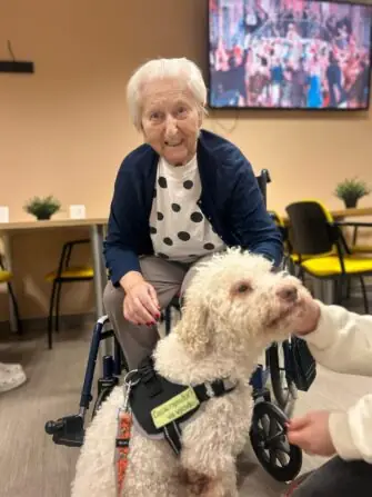 Obrázek WhatsApp, 2025-02-24 v 07.28.08_35554e12