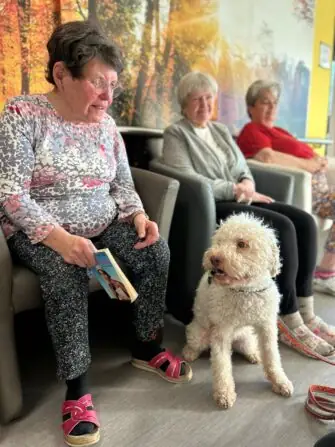 Obrázek WhatsApp, 2025-02-24 v 07.28.08_9e8e2d4b