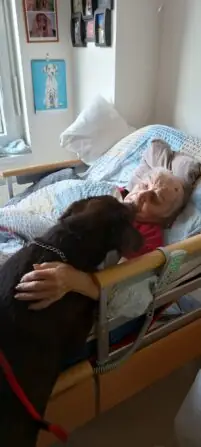 0579e597-6419-4a06-804c-1aeb2cc62c4c