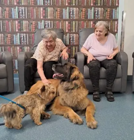 1d157967-cfd8-458b-a72d-d413eec20e0b