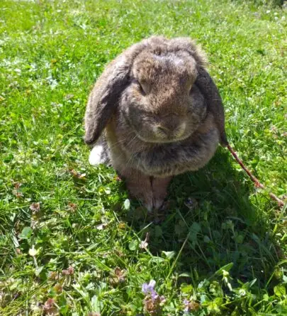 1deb27b2-4555-41d6-ace9-5490f3bf19ca