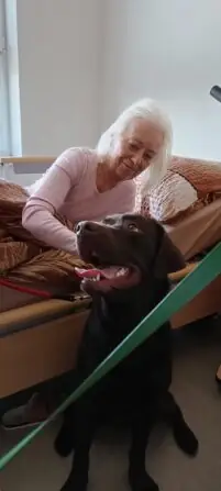 20643c86-479c-4244-9227-d220d03d1c3b