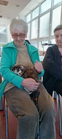 22de5e41-8032-49af-bad8-fe5b0d0769eb