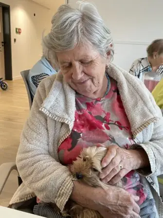 24da384c-3124-43f6-9f1c-a6662fc707d0