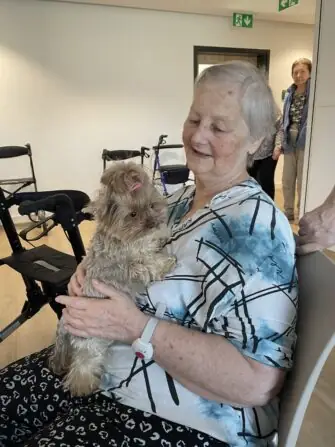 28d914f1-1e00-4c90-8bb6-78a71e80e946