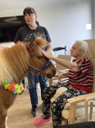 33afcf0a-5b88-48b7-b35d-bec85e5ff97b