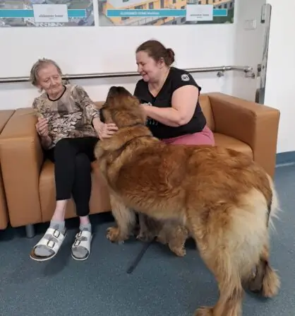 3a6115b1-d8a5-4a7d-a279-b2f3efc69792