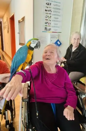 3ad7e11a-ec32-4226-b9e6-23ca2861c0a8