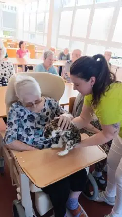 41cfdc33-1c2c-43dd-9909-17ed6b1887f3