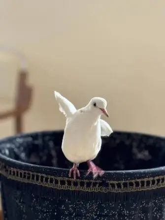 483808576_673161968448580_6051947021943725291_n