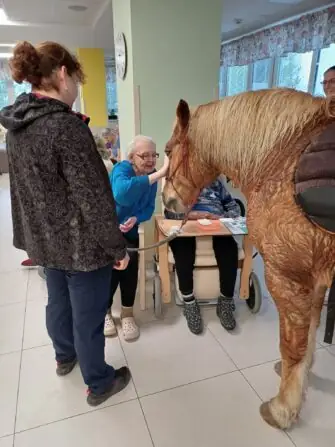 484757455_1071168968383470_2136741306390223076_n