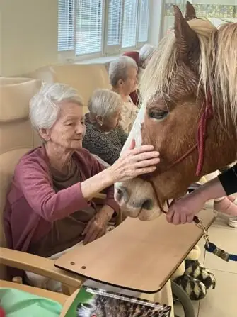 484828486_1071172305049803_7856402991009849851_n