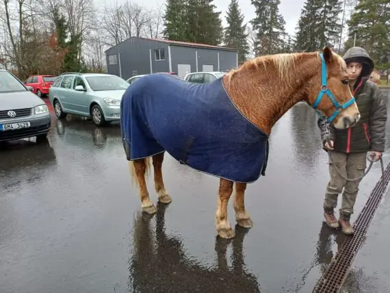 484871745_1071167588383608_8775851947263587661_n