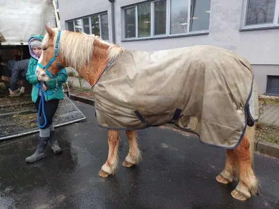 485624121_1071167515050282_7851995249294726413_n