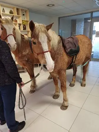 485696861_1071168015050232_3626719490831918612_n