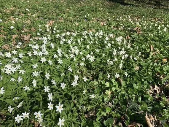 486718081_2447370542292600_3113763817634572794_n