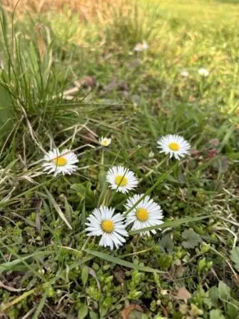 487080457_652204724185527_6167554140963156240_n