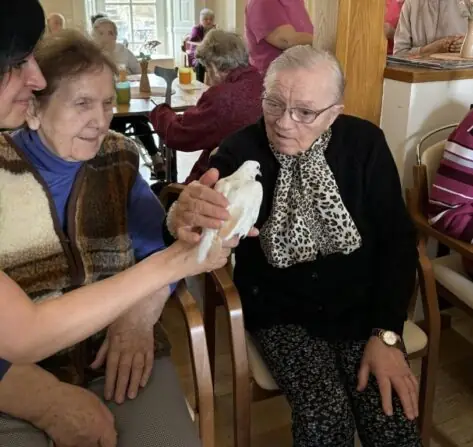 487820513_589098387518653_7584423599813301735_n