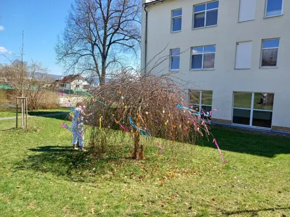 488906425_1088473403319693_5713524123443604701_n