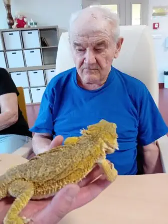 4cfa529f-3ebf-488d-b5ef-52f6b8650e8b