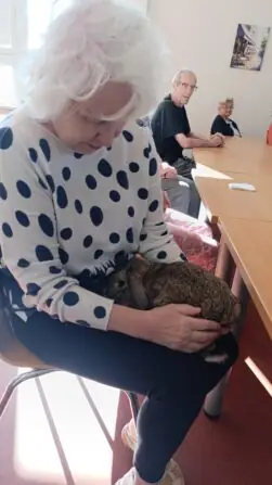 62bbd084-cd67-47bc-b6eb-1f725a79929c