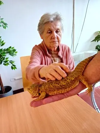 66c1da58-8378-49c8-b434-061a8b5b3ace