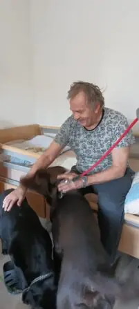 6a4b3732-9f62-41ce-bb74-44faa7c70b82