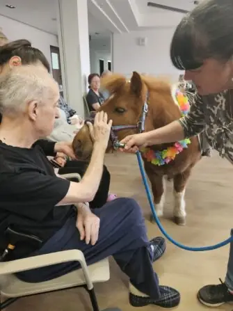 71f005d3-5030-4b56-a46a-c2479e5fccc5