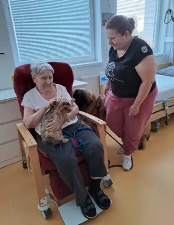 741d4703-66b8-48d2-9dd3-f2a6602294d8