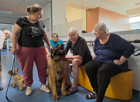 960cf2de-ed78-4b4d-86ab-a22f9f1c1bdd