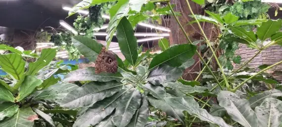 WhatsApp Image 2025-03-27 at 15.06.44