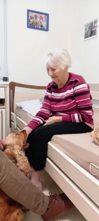 a9055c6d-6795-429b-a58d-d6d72bb238e5