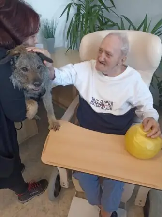 att.PuTLu9f47x7dKH7Y-aSXTMclIn5JK-4fsIodGc3j76M