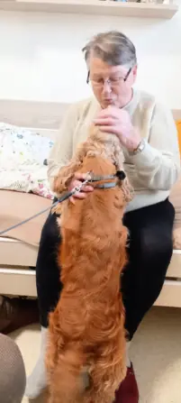 b1e2f42b-0656-496a-a197-22ec1d6a56be