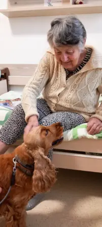 b5cd2992-2c1c-4029-b50b-8fc4452f8d60