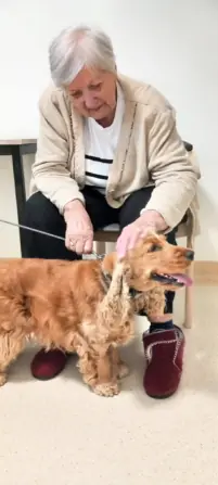 c4090698-8498-4b9e-b054-e343f7ca222b