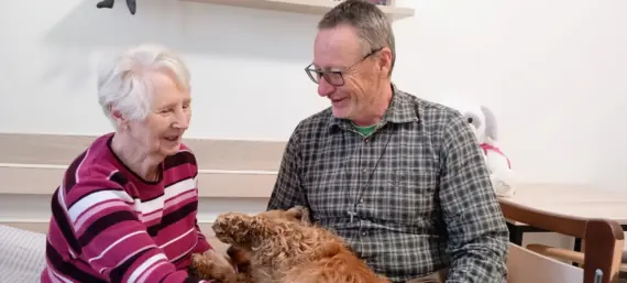 cc6b9478-bcf2-4bb6-a7fb-a6560c589eac