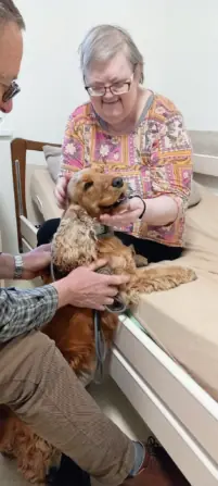 d1d6f680-a150-4e9b-9c2c-58d682a6cf49