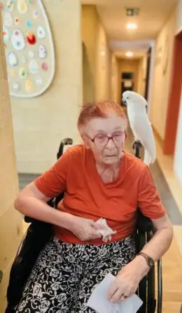 d2528e57-8f54-4717-8028-a16cb1f62fa3