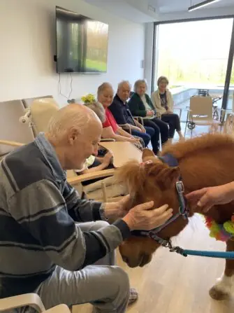 e8bfb192-00f4-41d6-a73a-e00fbca21c79