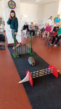 ef05bb2c-3781-4993-b550-8de151ffab9c