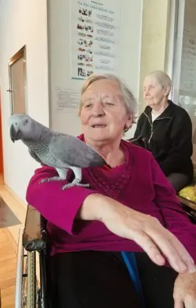 ff3b3bc9-f248-417b-8397-314b00508ec6