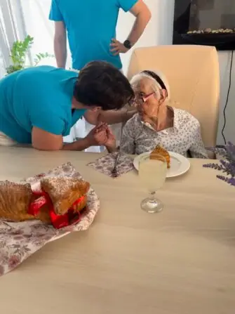 thumbnail_image7 (1)