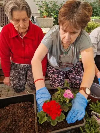 20250430_095703 - kopie